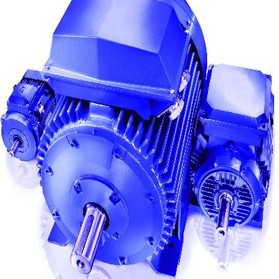 Electric Standard Motor