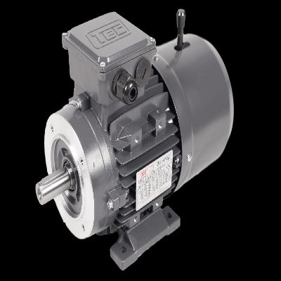 Hindustan Electric Brake Geared Motor