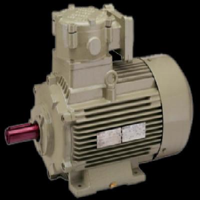 Hindustan Electric Cooling Tower Motor