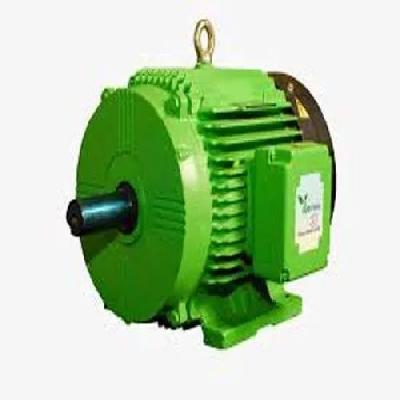 CG Flameproof Hazardous Area Motors