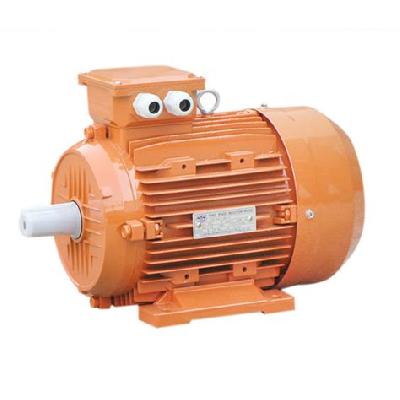 Foot Mount Brake Motor.