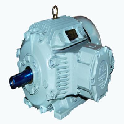 3 Phase Induction Motors