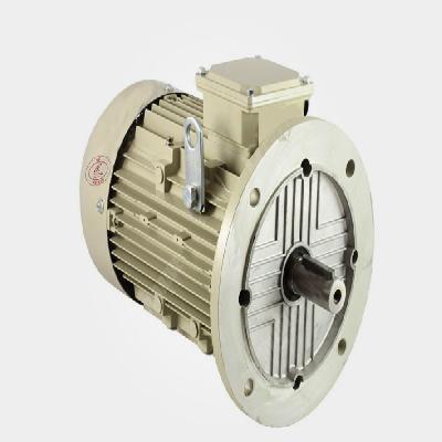 Flange Mounting Motors