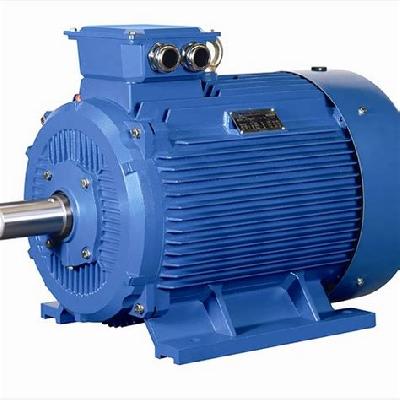 AC Induction Motor