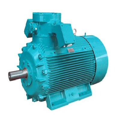 Flameproof Motor