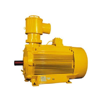 Nidec CAD Series Explosion Proof Motors