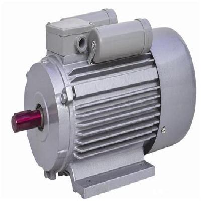 Single Phase TFFV Induction Motors
