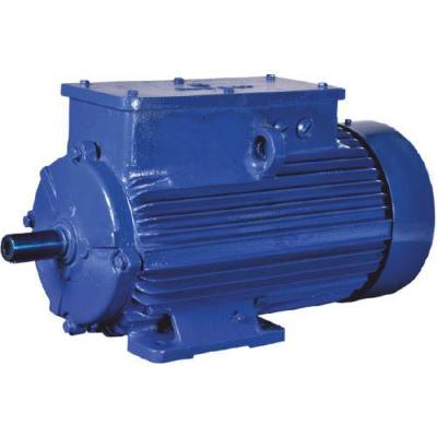 Crane Duty Electric Motor