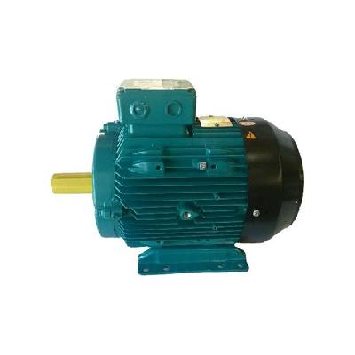 Crompton Greaves Electric Motor