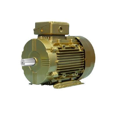 Crompton Greaves Flame Proof Motor