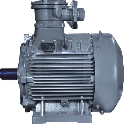 Three Phase Flame Proof Motor