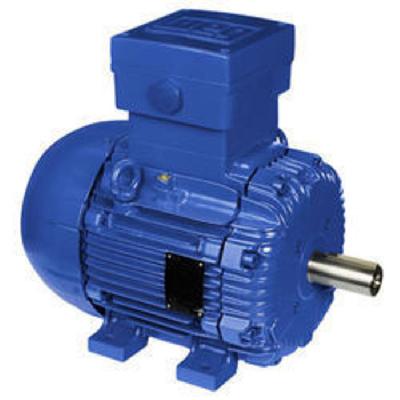 Crompton Greaves  Flameproof Electric Motors