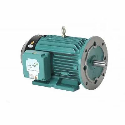 Crompton Greaves Flange Mounting Motors