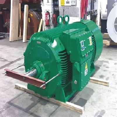 Squirrel Cage Induction Motor