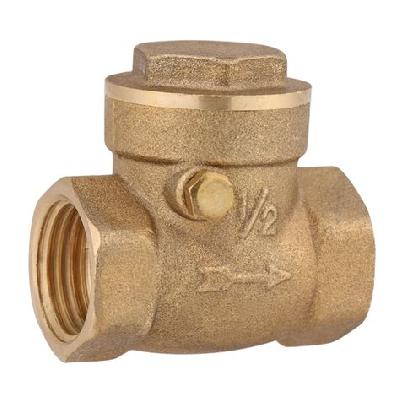 Non Return Valve