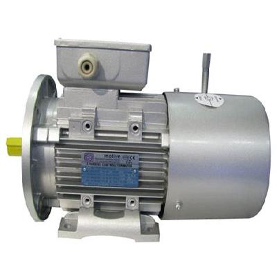 AC Brake Motor