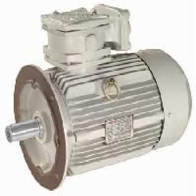 CG Increased Safety Motor