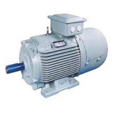 Crane Duty Motor