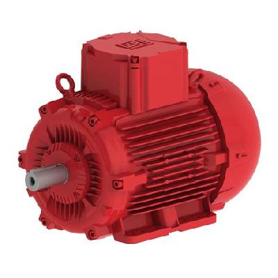 Flameproof Motors