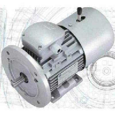 Rotomotive Brake Motors