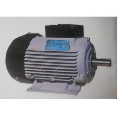Bharat Bijlee AC Motor