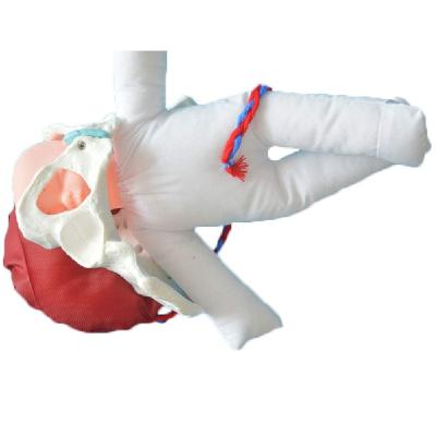 Baby with Pelvis Indian