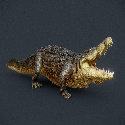 Crocodile Model