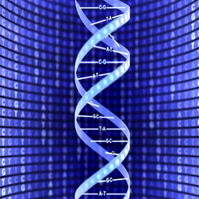 DNA Helical Structure
