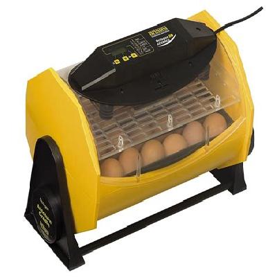 Egg Incubator