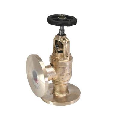Feed Check Valve