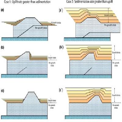 Fold Model