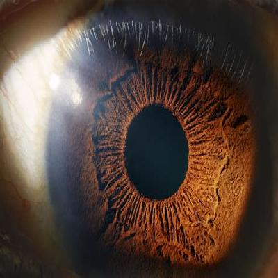 Human Functional Eye