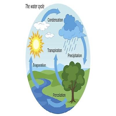 Hydrological Cycle Model