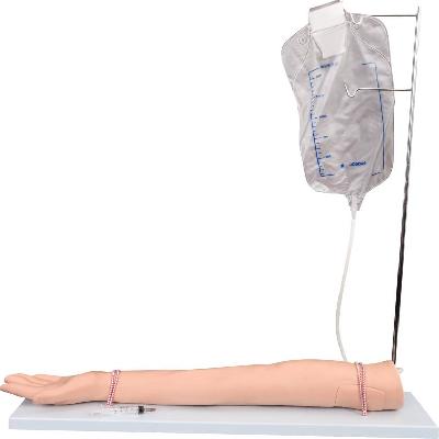 Injectable Training Arm Model