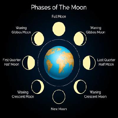 Moon Chart