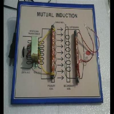 Mutual Induction Model