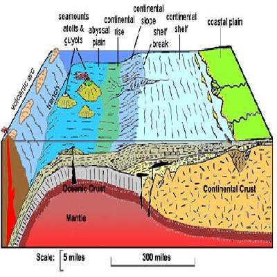 Ocean Feature