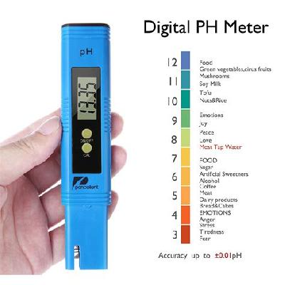 pH METER (FIELD) DIGITAL