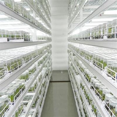 Plant Growth Chamber