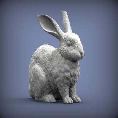 Rabbit Model