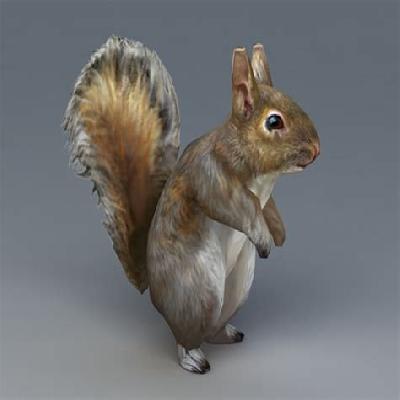 RNA Helical Structure