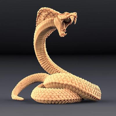 Snake Cobra  Viper Model