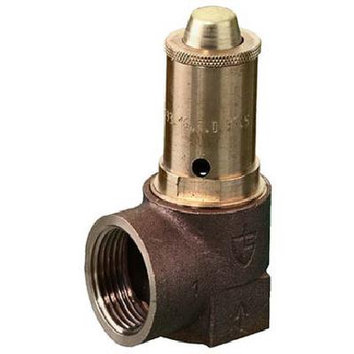 Spring Loaded Safety Valve