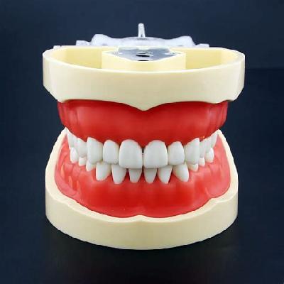 Tooth Hygiene Set