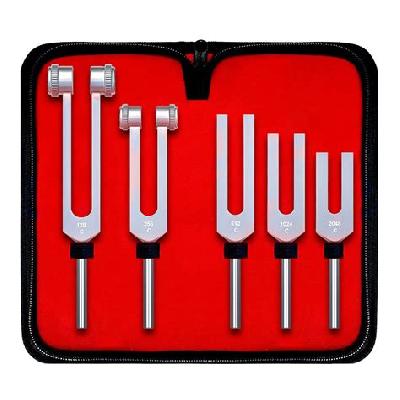 Tuning fork set