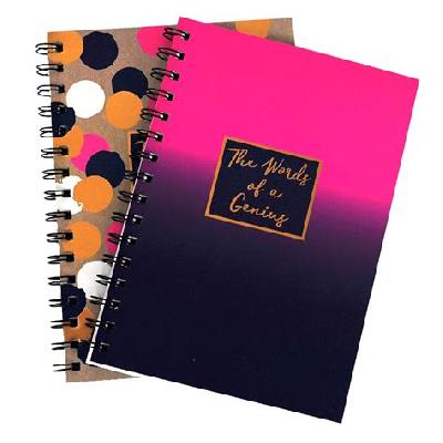 School Notebooks