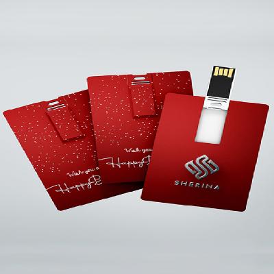 Multi Plastic Printed Card Pen Drives