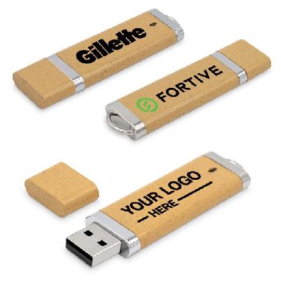 Promotional Plastic Pen Drive