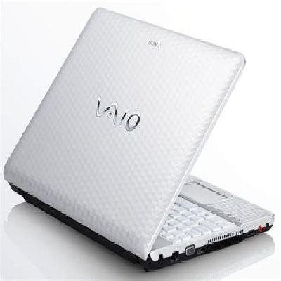 Sony Portable Laptop