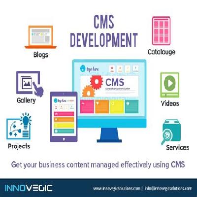 CMS Software Development Service